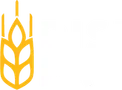 Disipan
